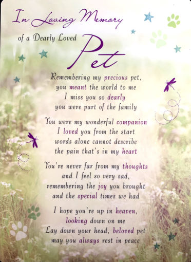 Picture of LOVING MEMORY - PET